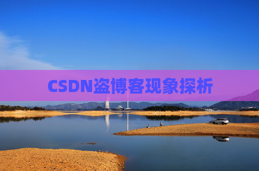 CSDN盗博客现象探析